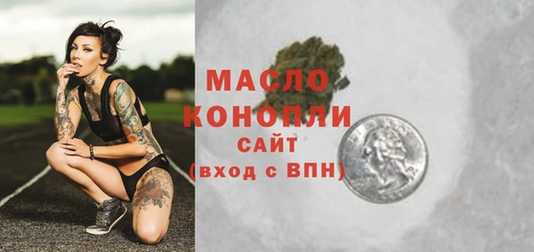 прущий лед Новозыбков