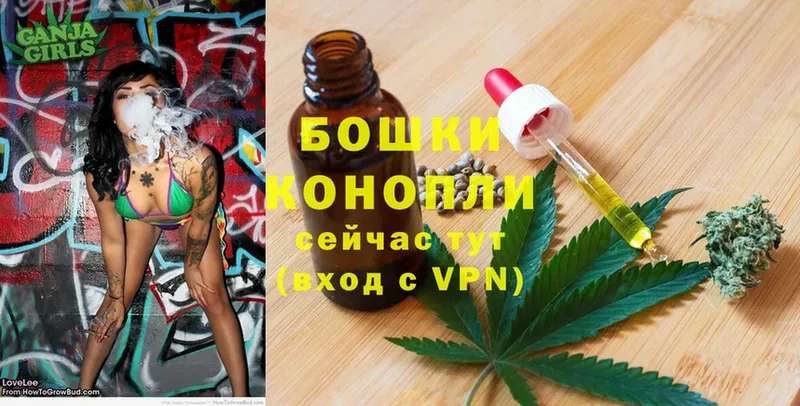 где купить наркоту  Красноярск  гидра ссылки  Бошки марихуана SATIVA & INDICA 